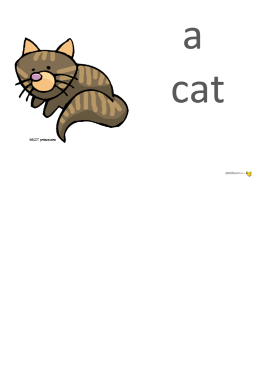 Animals Vocabulary Card Template Set Printable pdf