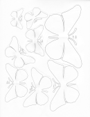 Butterfly Templates