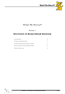 Overview Of Generalised Anxiety Worksheet Template