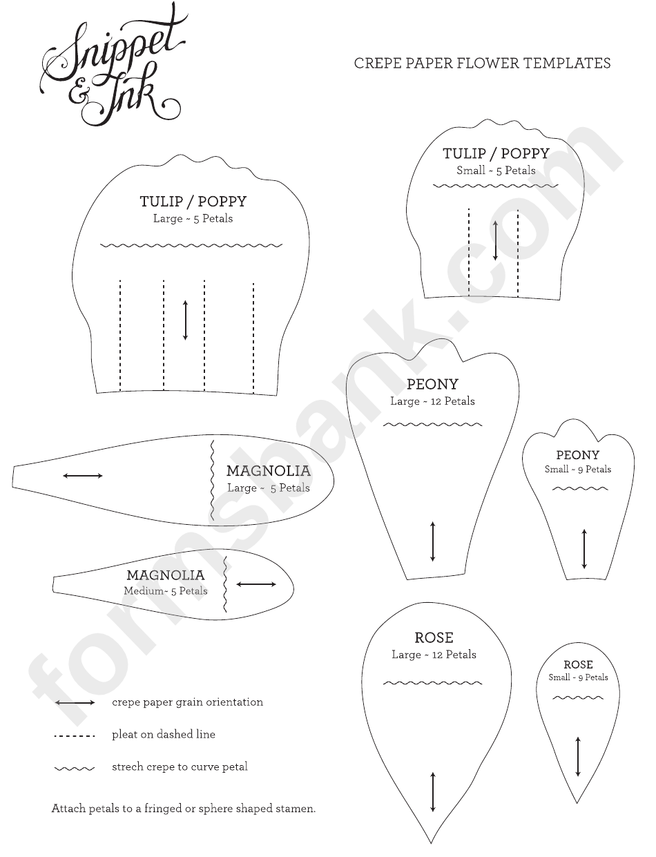 Crepe Paper Flower Template Printable Pdf Download
