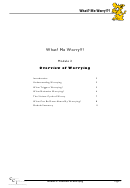 Overview Of Worrying Worksheet Template