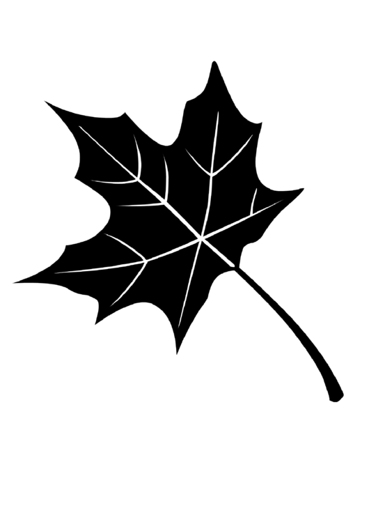 Autumn Fall Leaf Templates Printable pdf