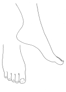 Foot & Hand Pattern Template Printable pdf