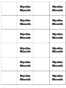 Myelin Sheath Biology Flashcards Template