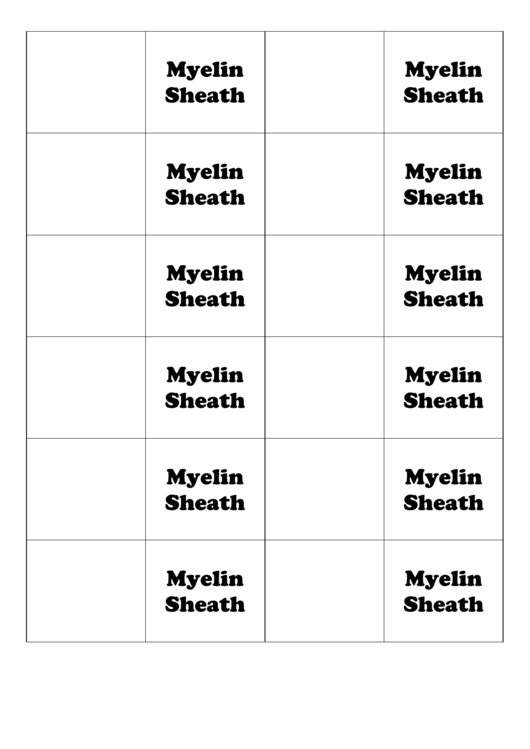 Myelin Sheath Biology Flashcards Template Printable pdf