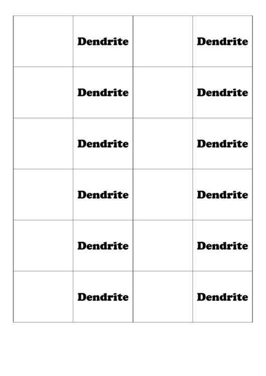 Dendrite Biology Flashcards Template Printable pdf