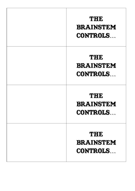 The Brainstem Controls Biology Flashcards Template Printable pdf