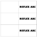 Reflex Arc Biology Flashcards Template