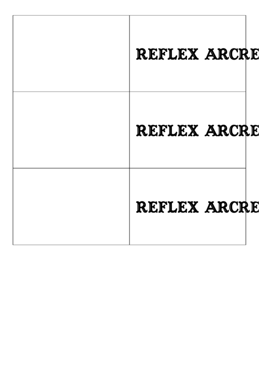 Reflex Arc Biology Flashcards Template Printable pdf