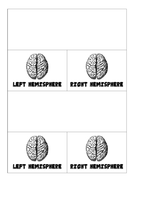 Hemispheres Biology Flashcards Template Printable pdf