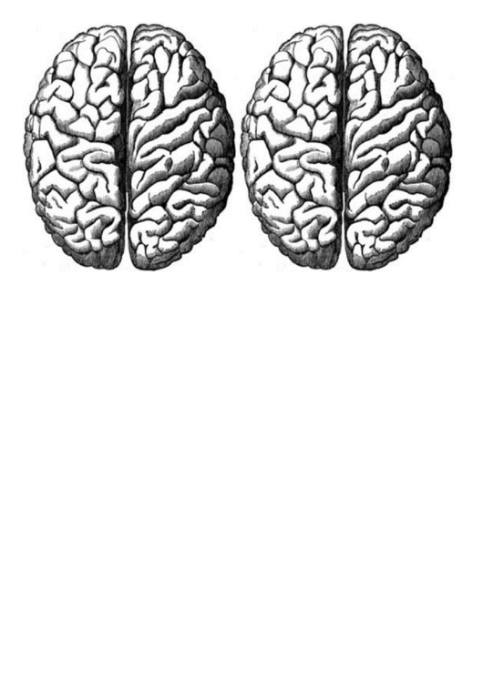 Brain Hemispheres Biology Flashcards Template Printable pdf