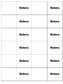 Sclera Biology Flashcards Template