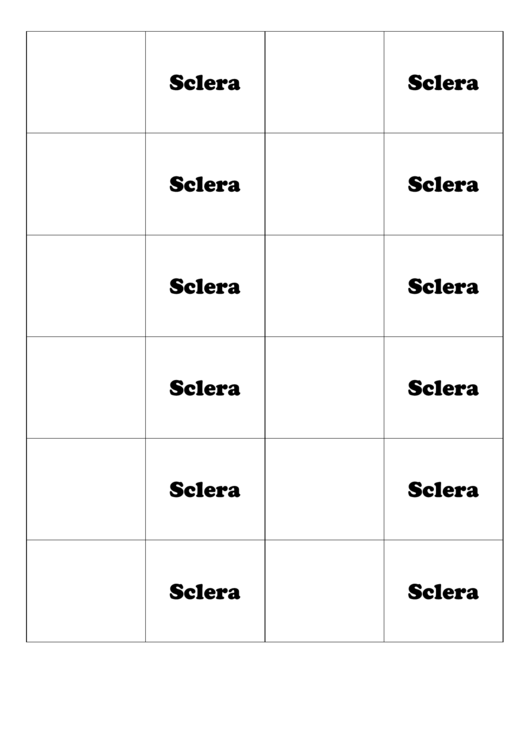 Sclera Biology Flashcards Template Printable pdf