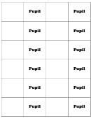 Pupil Biology Flashcards Template