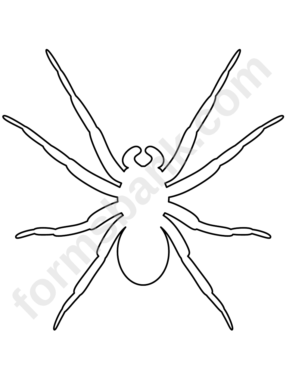 Spider Pattern Template