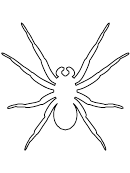 Spider Pattern Template