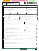 Form In-111 - Income Tax Return - 2017