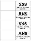 Somatic Autonomic Nervous Systems Biology Flashcard Template