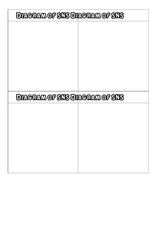 Blank Diagram Of Sns Biology Flashcard Template Printable pdf