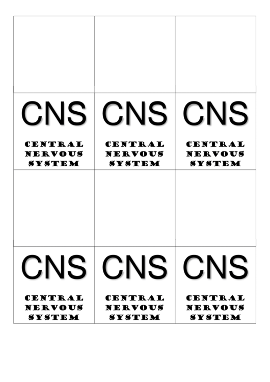 Central Nervous System Biology Flashcard Template Printable pdf