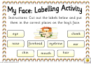 Labelling Activity Sheet - Boy's Face