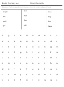 Basic Antonyms Word Search Puzzle Template