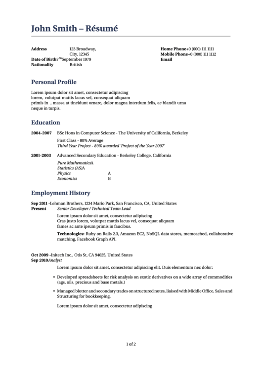Professional Resume Template Printable pdf