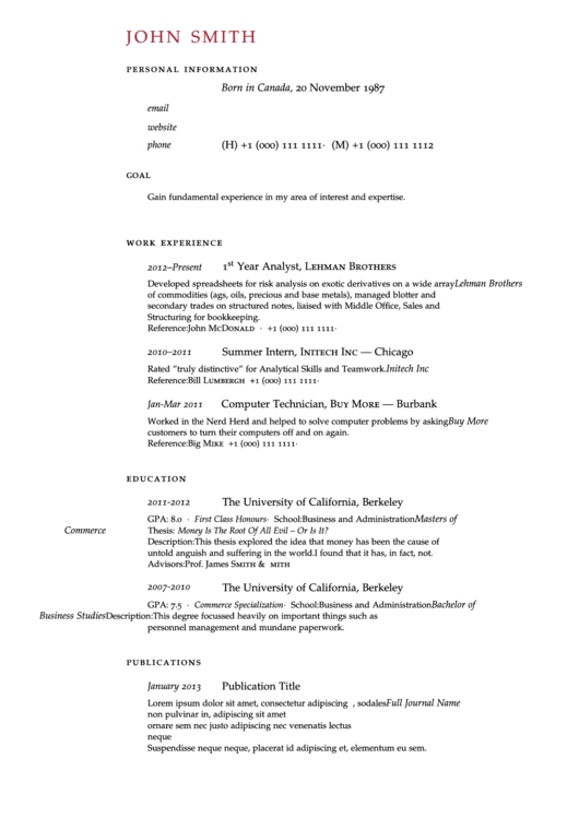 Professional Resume Sample Printable pdf
