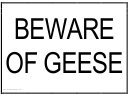 Beware Of Geese