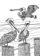 Storks Coloring Sheet