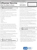Influenza Vaccine Information Sheet Printable pdf