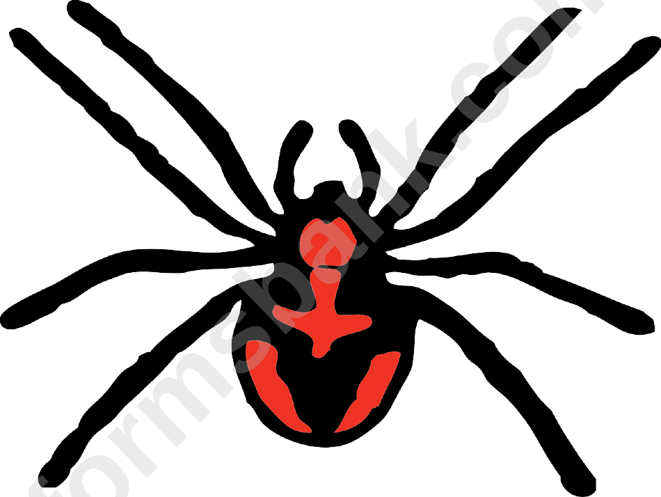 Spider Poster Template