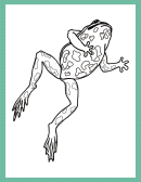 Jumping Frog Coloring Sheet Printable pdf