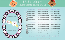 Baby Teeth Eruption Schedule
