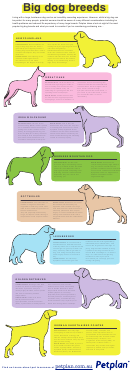 Big Dog Breeds Chart Printable pdf