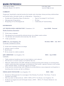 Media Manager Resume Template