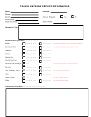 Travel Expense Report Information Template