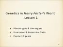 Genetics In Harry Potter's World Worksheet With Answers
