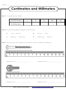 Centimeters And Millimeters - Measurement Worksheet With Answers Printable pdf