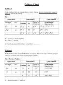 Pedigree Chart Genetics Worksheet Printable pdf