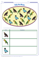 Tally The Birds Worksheet With Answer Key