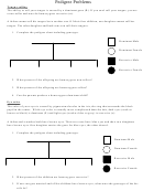 Pedigree Problems Genetics Worksheet Printable pdf