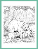 3 Bears Coloring Sheet