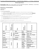 Metamorphic Rocks Geology Worksheet - 3 Rd Year Lab. No. (5) Printable pdf