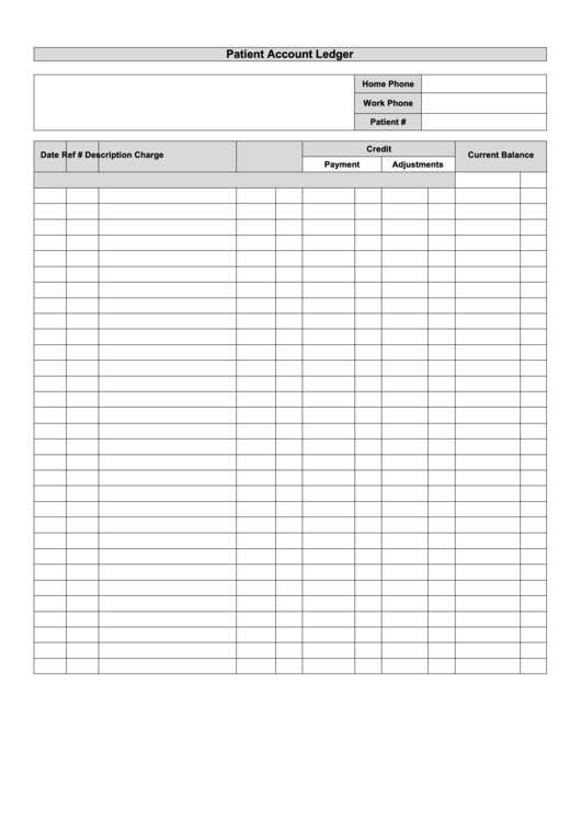 Patient Account Ledger Form Printable pdf
