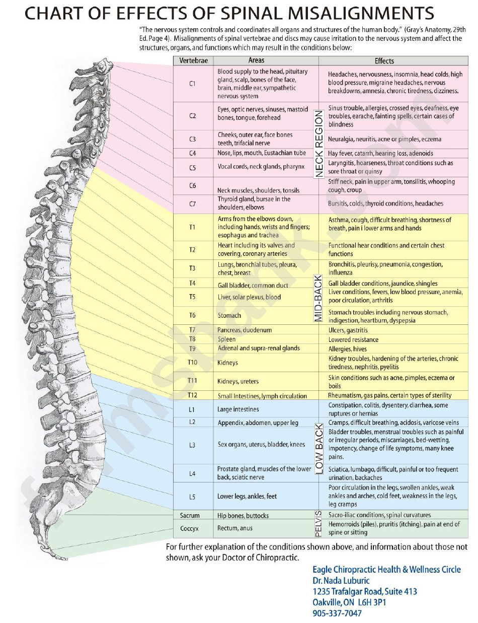 Effects Of Spinal Misalignments Chart