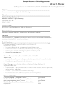 Sample Internship Resume Printable pdf