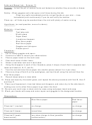 Acids And Bases Lab Chemistry Worksheet With Answers - Science 10