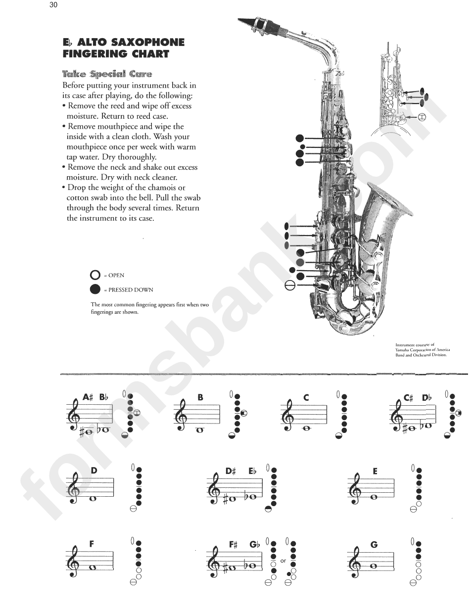 Alto Saxophone Fingering Chart Printable Pdf Download