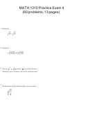 Math 1310 Practice Exam Worksheet Printable pdf